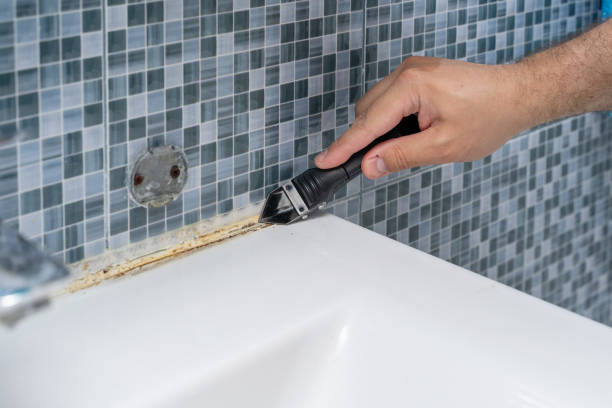 Professional Mold Removal in Paradise Valley, AZ